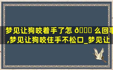 梦见让狗咬着手了怎 🕊 么回事,梦见让狗咬住手不松口_梦见让狗咬住手不松口相关